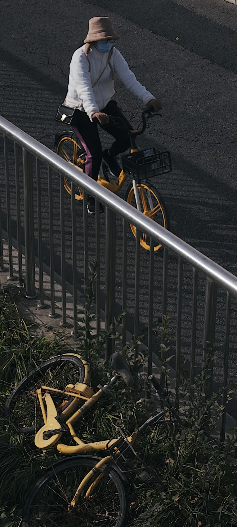 A cyclist passing through sharp Beijing autumn shadow.