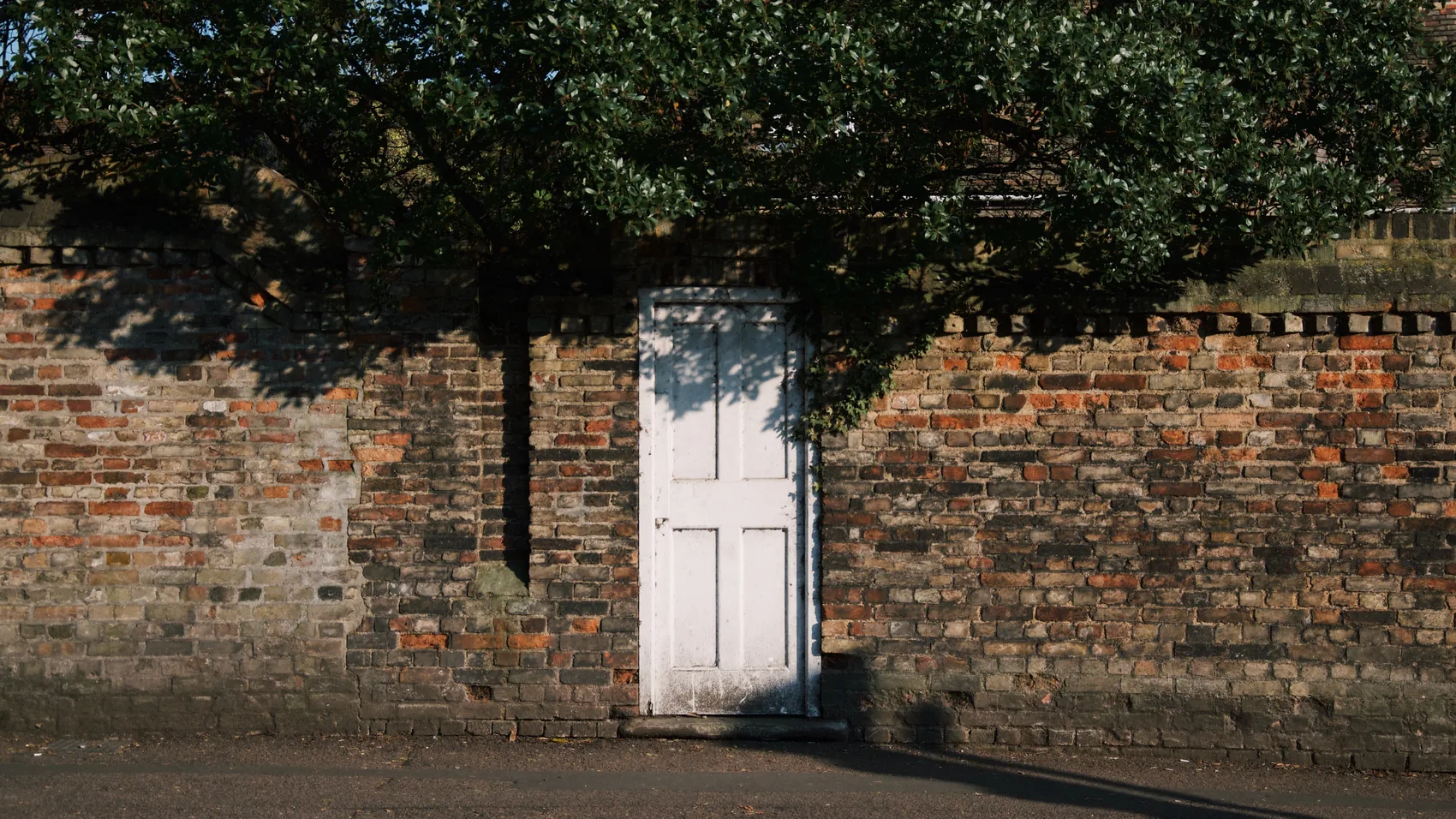 A small white door in a brick Cambridge wall beneath a dark tree.