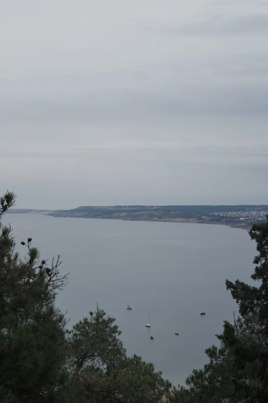 A river valley overlook in Georgia under grey sky.