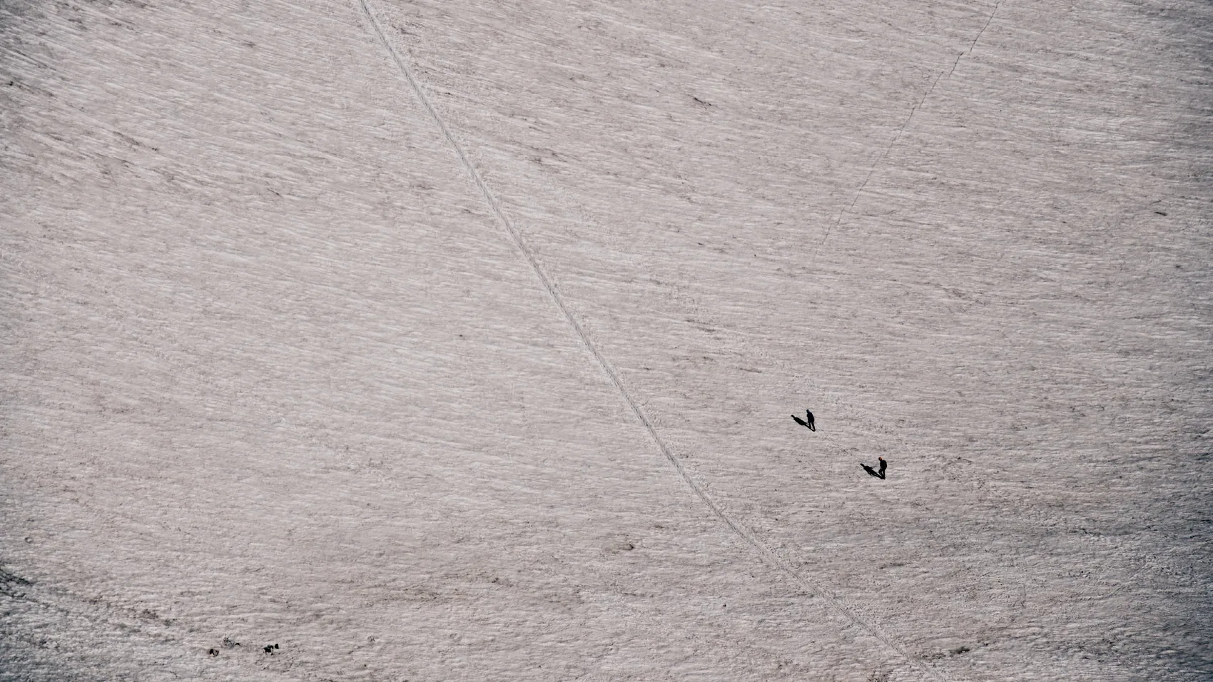 Two tiny climbers moving across a broad Chamonix snowfield.