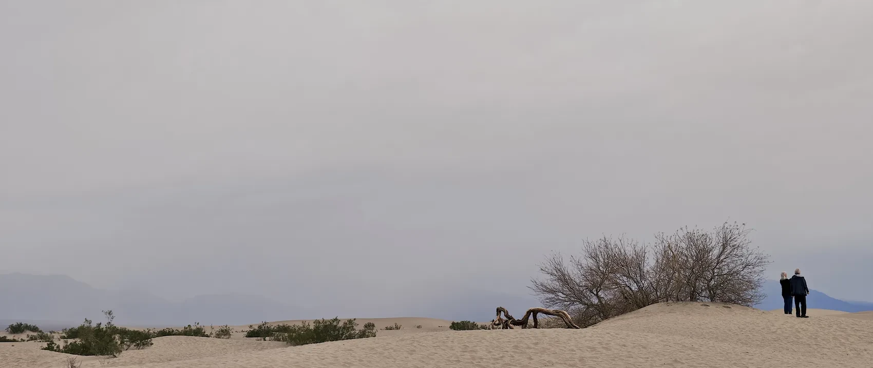 Small figures on pale Death Valley dunes under grey sky.