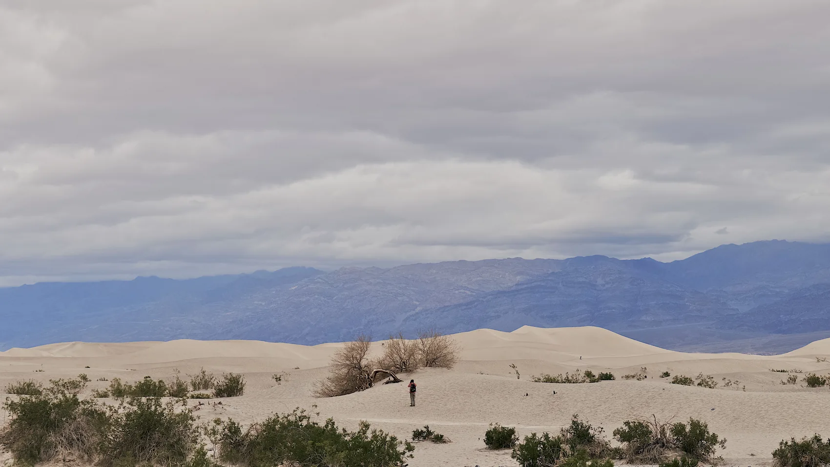 People crossing distant Death Valley dunes under low cloud.