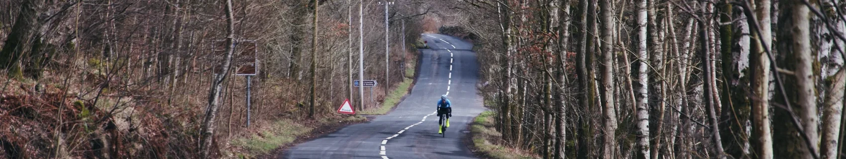 A lone cyclist on a tree-lined Highland road.