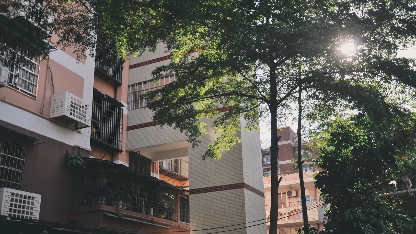 A Guangzhou apartment facade partly hidden by trees.