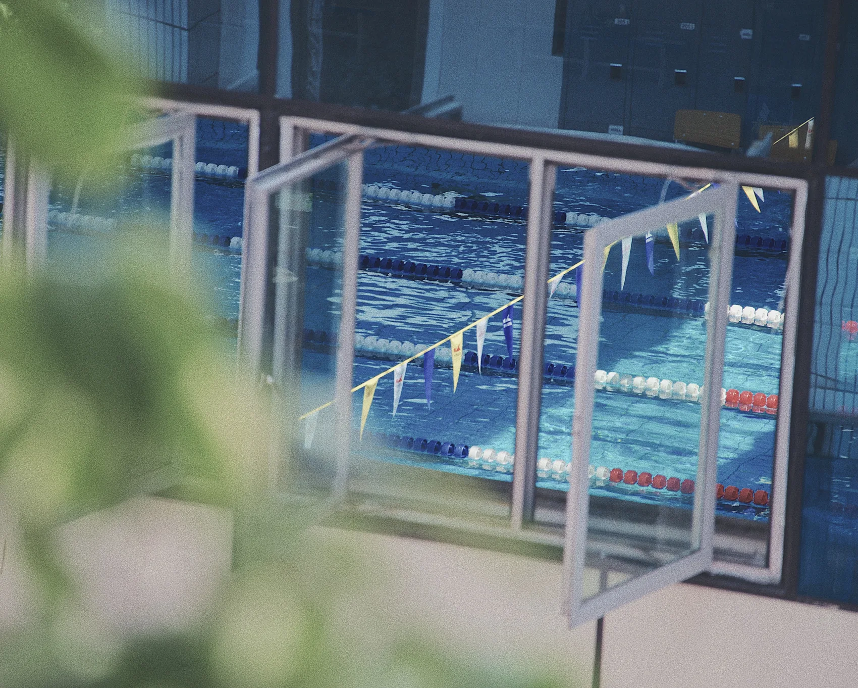 A swimming pool seen through a half-open window and leaves.