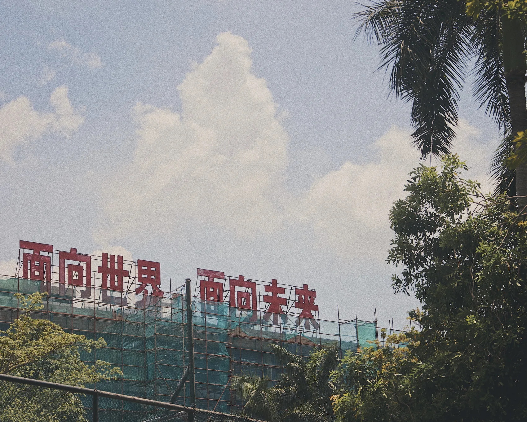 A red school sign above trees in Guangzhou.