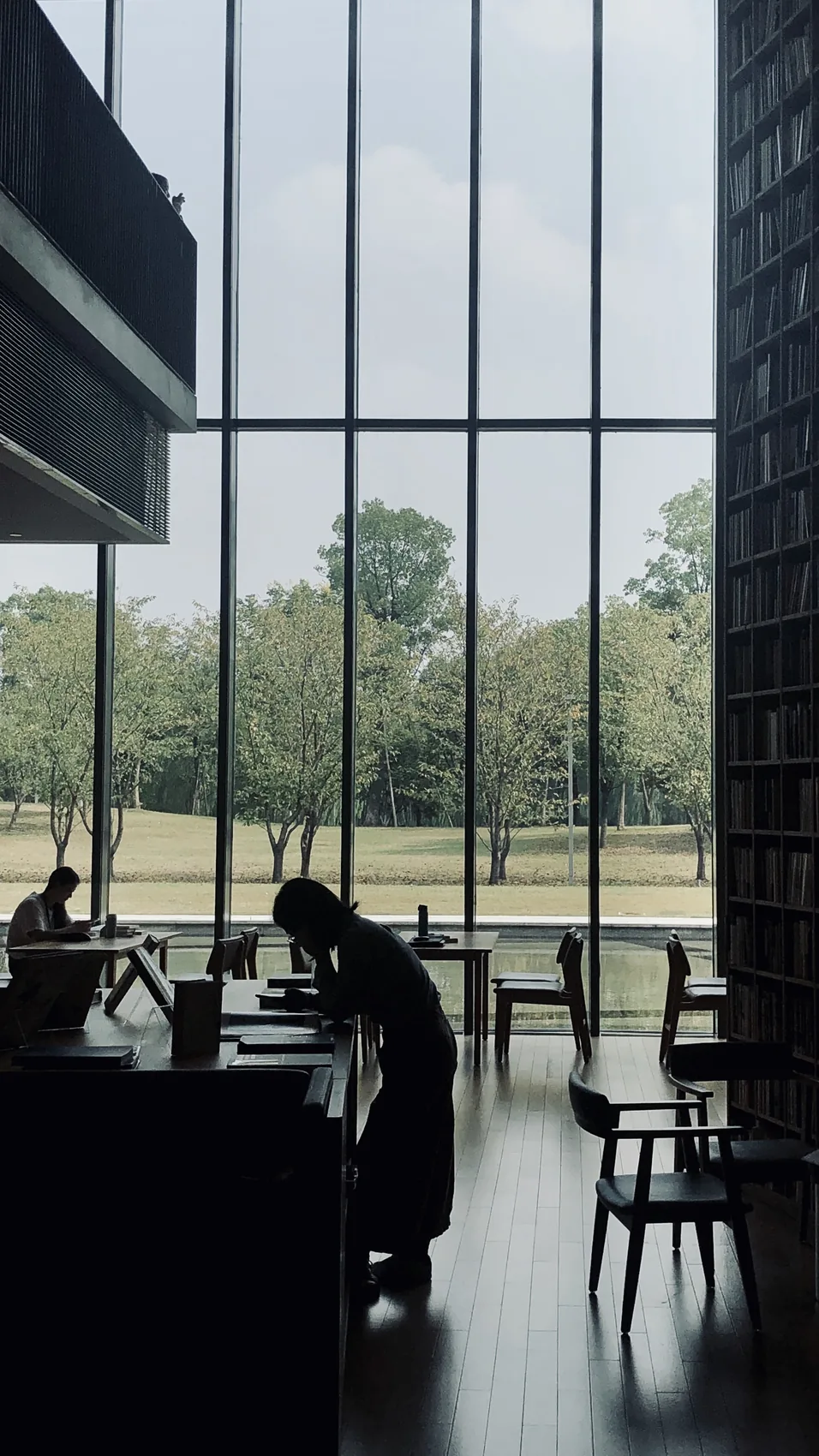 Readers silhouetted beside a tall Hangzhou window.