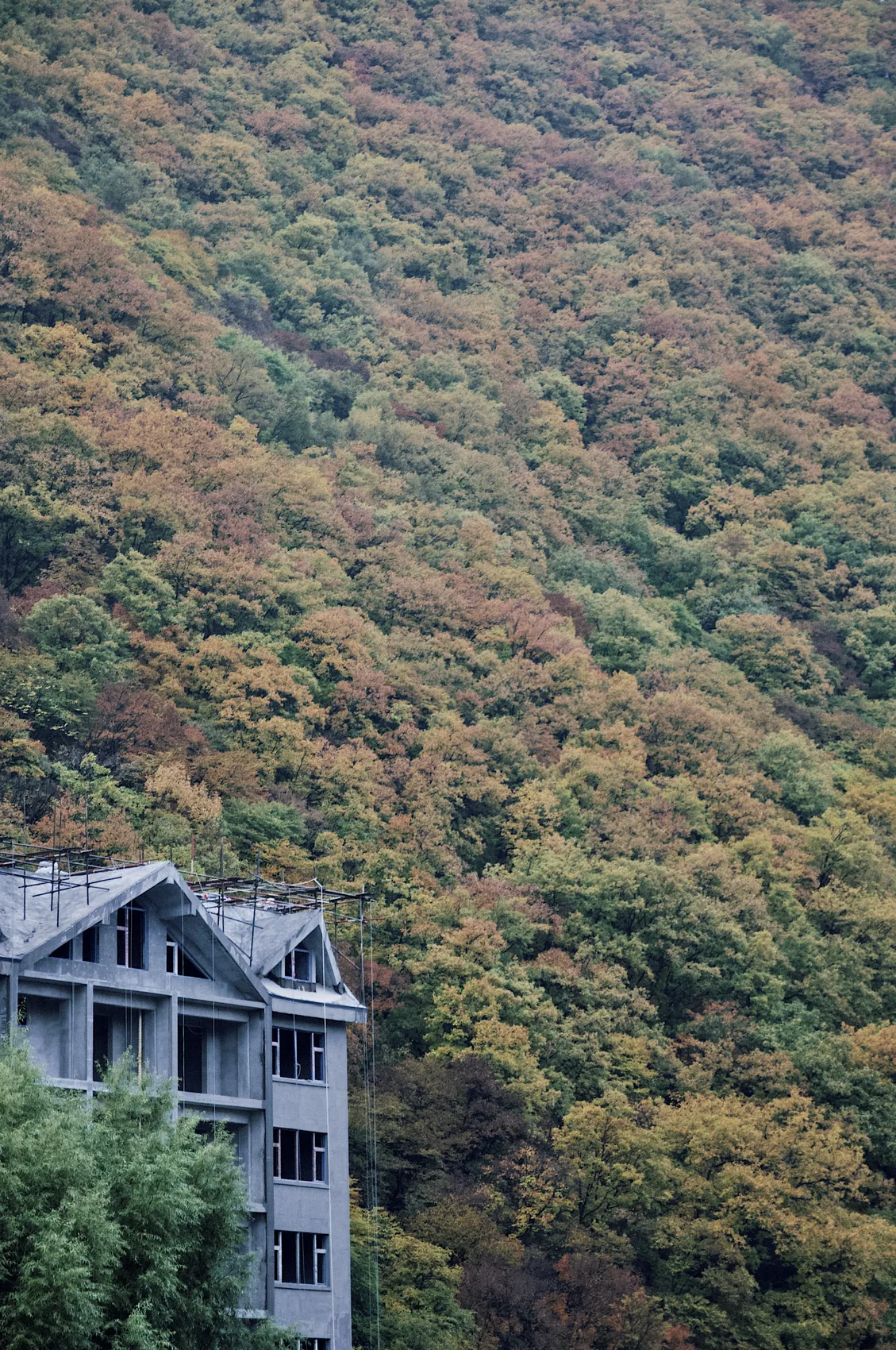 A building tucked into a Jilin mountain slope in autumn.