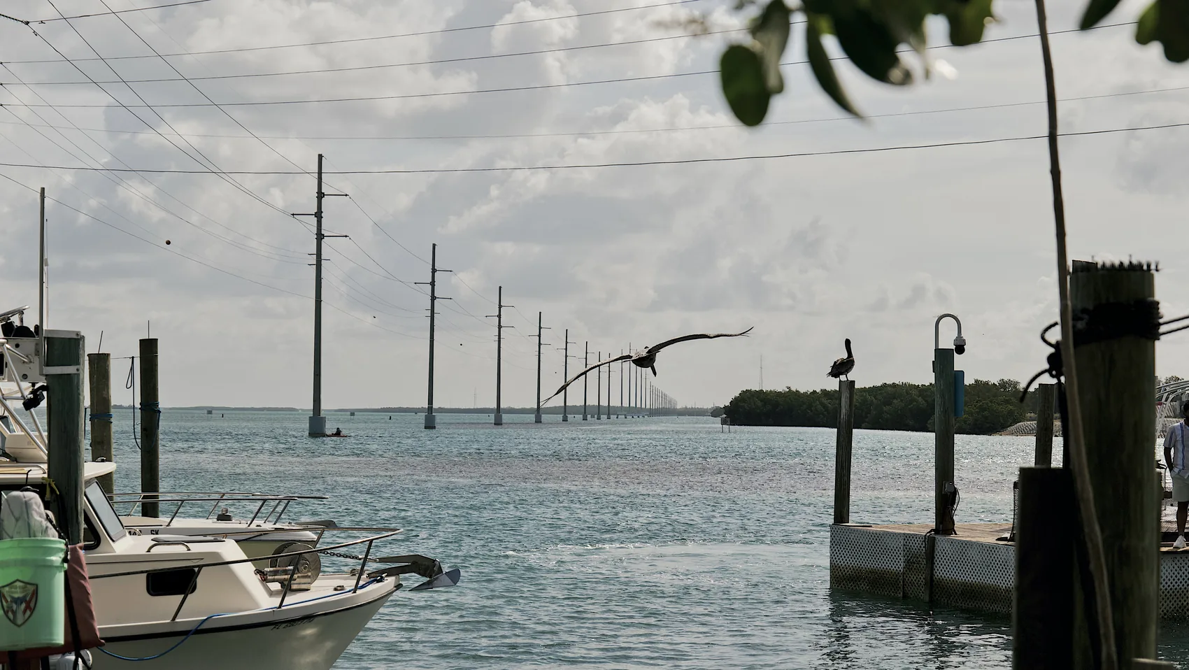 Water and power poles along the Florida Keys.
