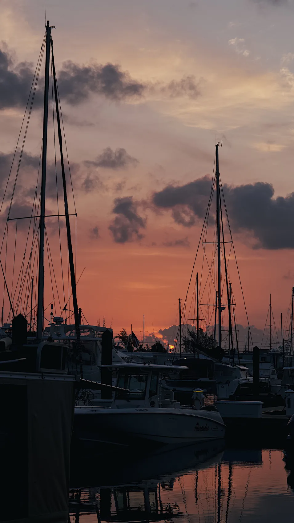 Sailboat masts in Key West evening colour.