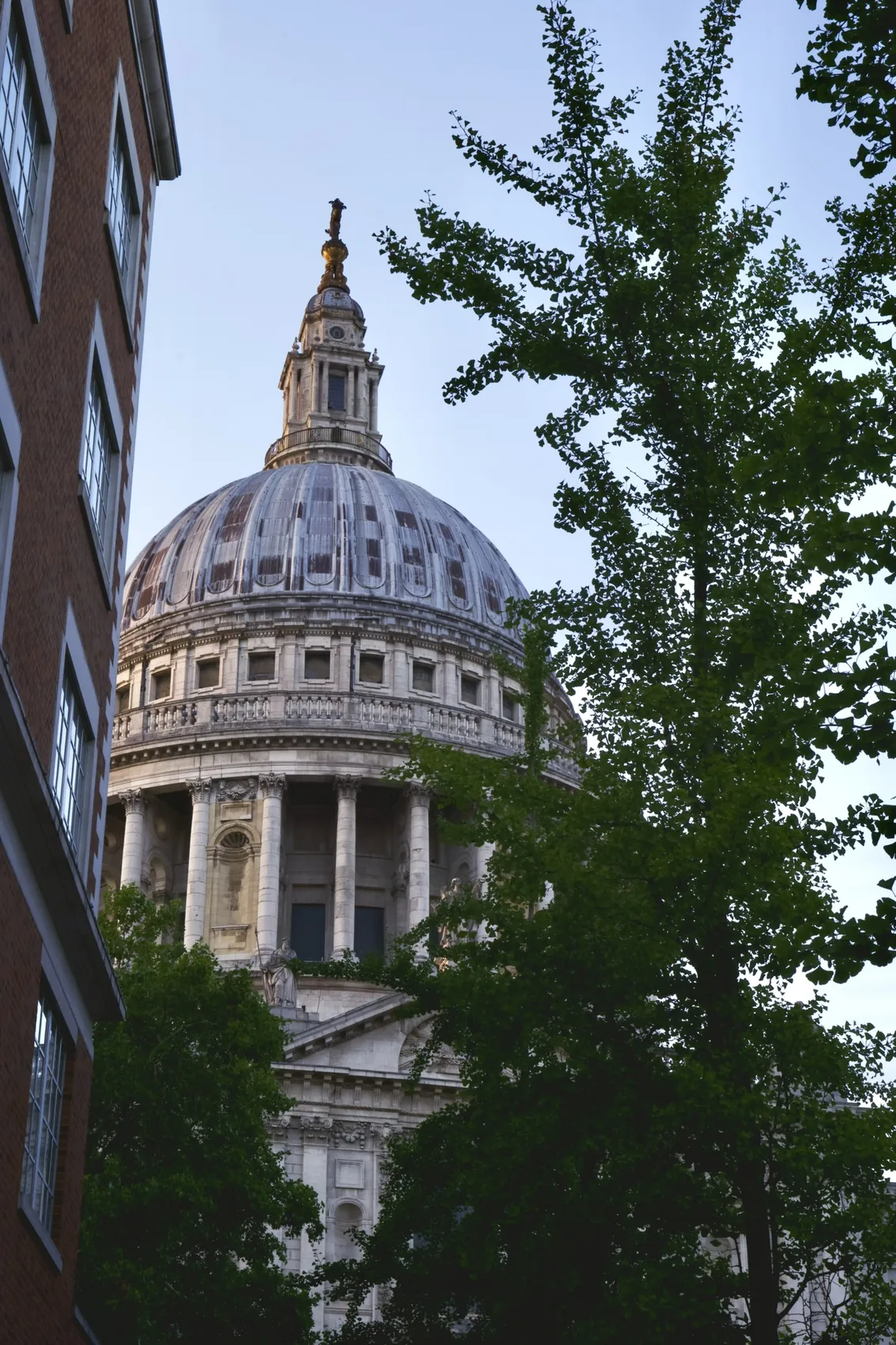 St Paul's Cathedral seen through summer trees.