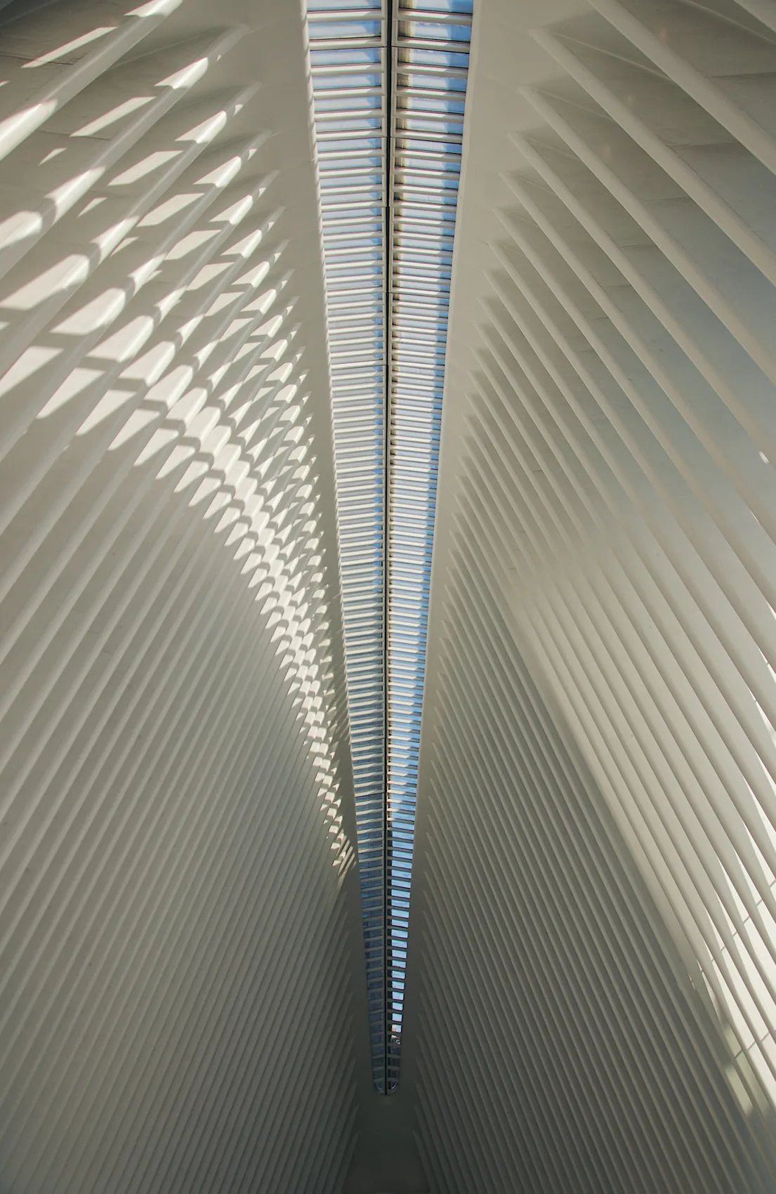 The ribbed ceiling of the Oculus in New York.
