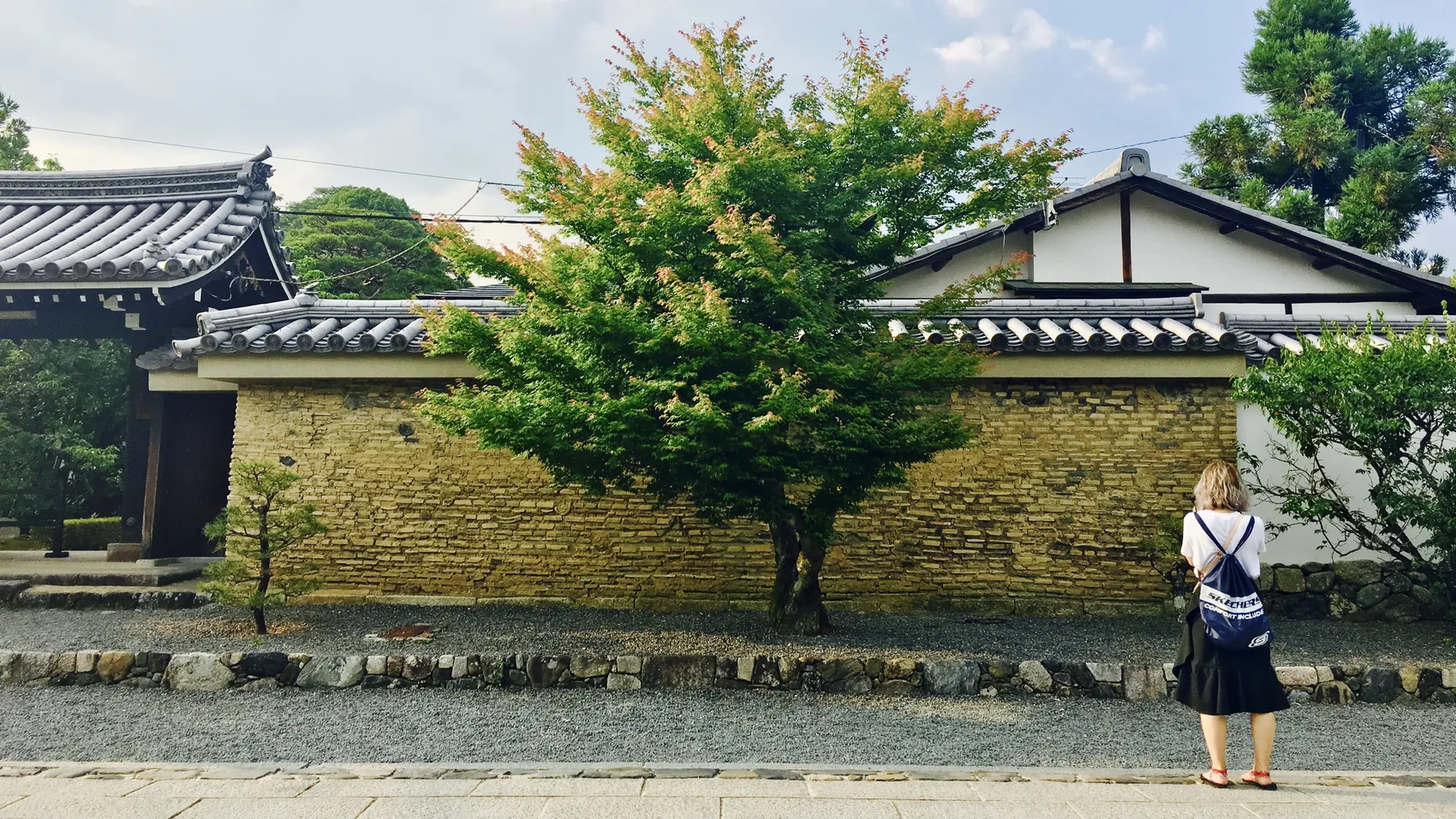 A person facing a tree and wall in Osaka.