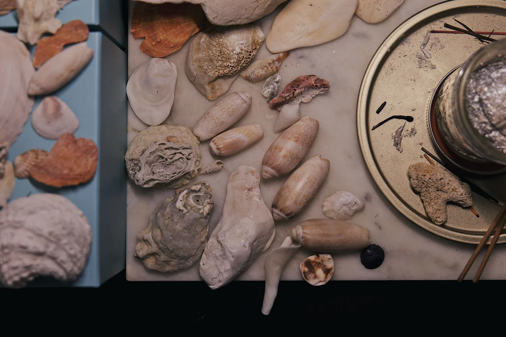 Shells, stones, and a jar arranged on a Palm Beach Gardens table.