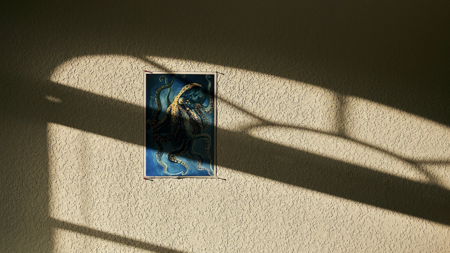 A window shadow falling across a Palm Beach Gardens wall.