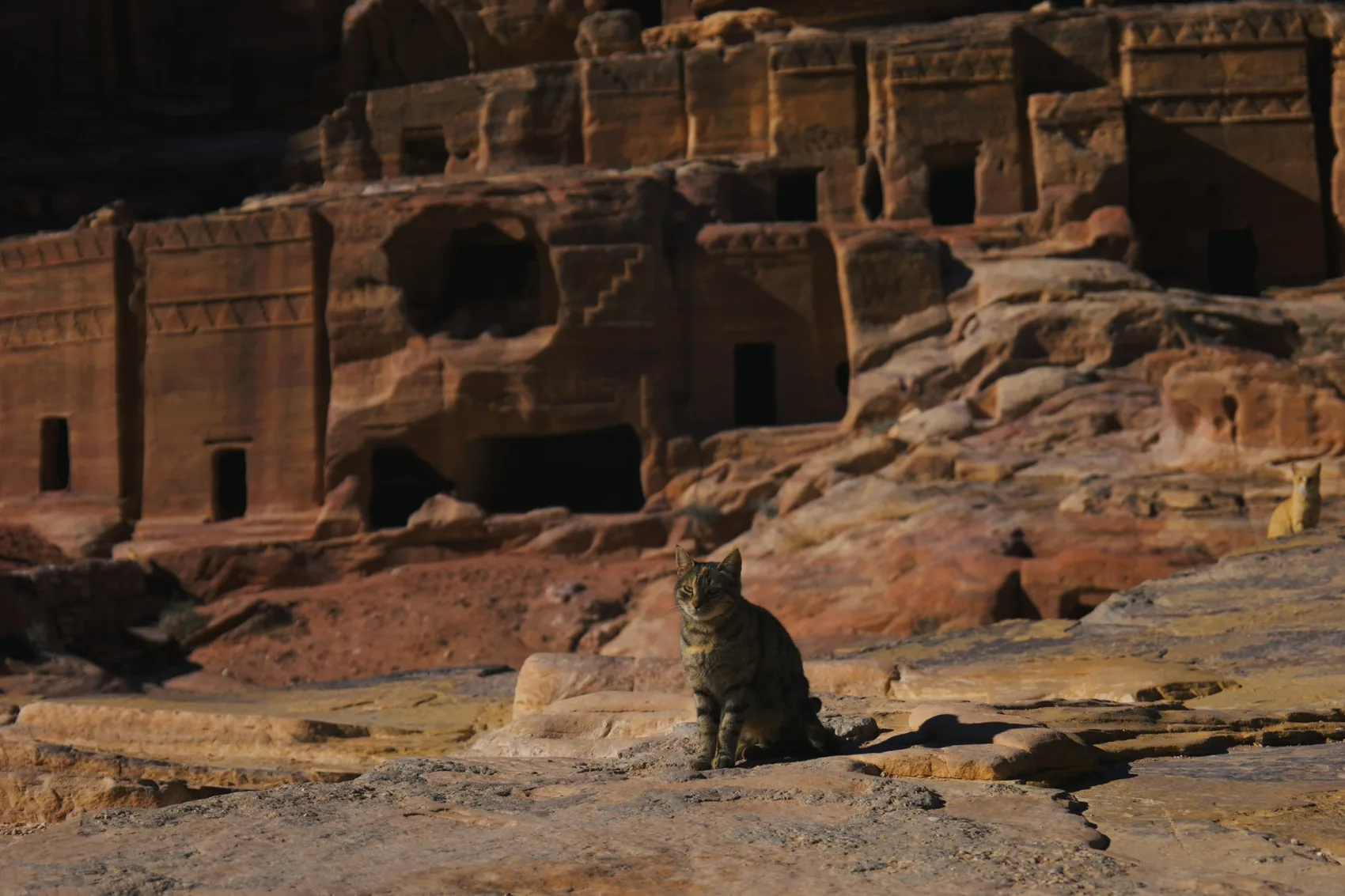 Petra carved stone walls in warm light.