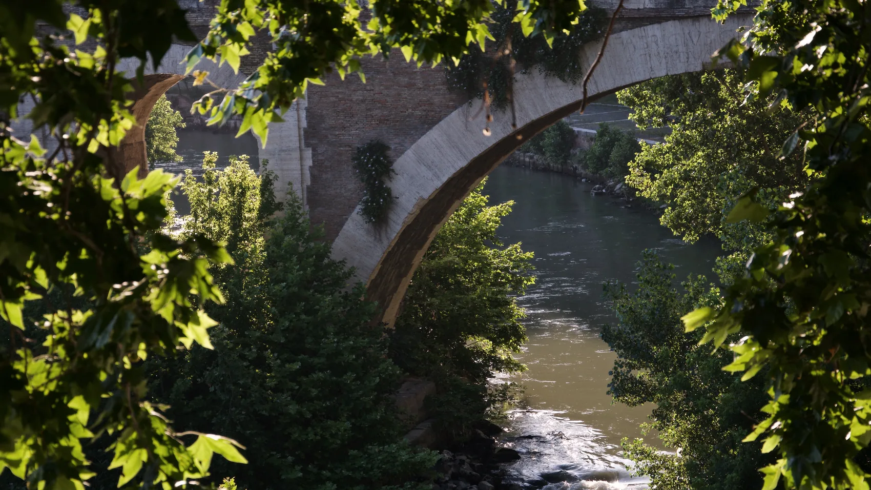 A Rome bridge and river seen through green leaves.