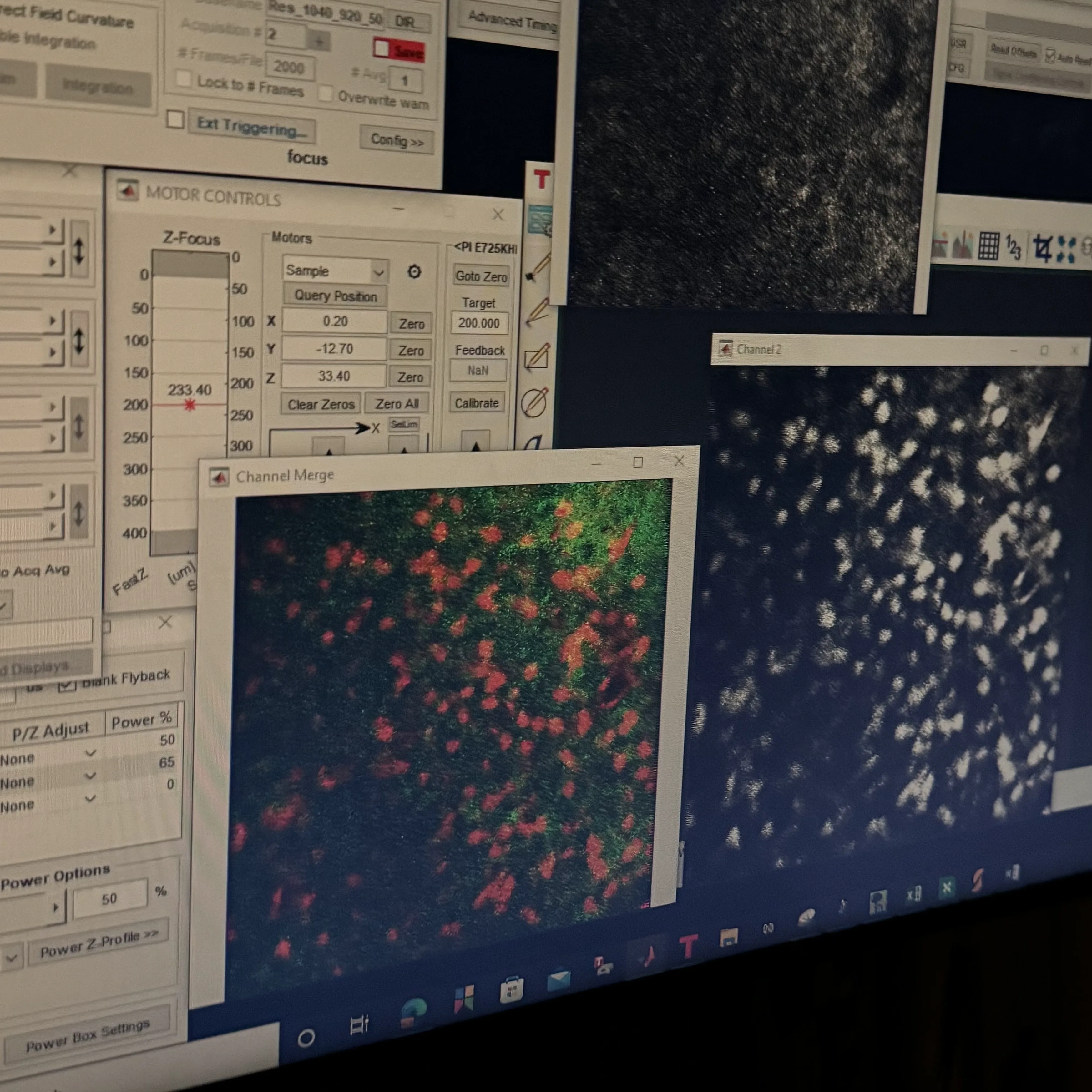 Two-photon imaging screen showing dLight dopamine signal in green and tdTomato-labelled CA1 pyramidal cells in red.