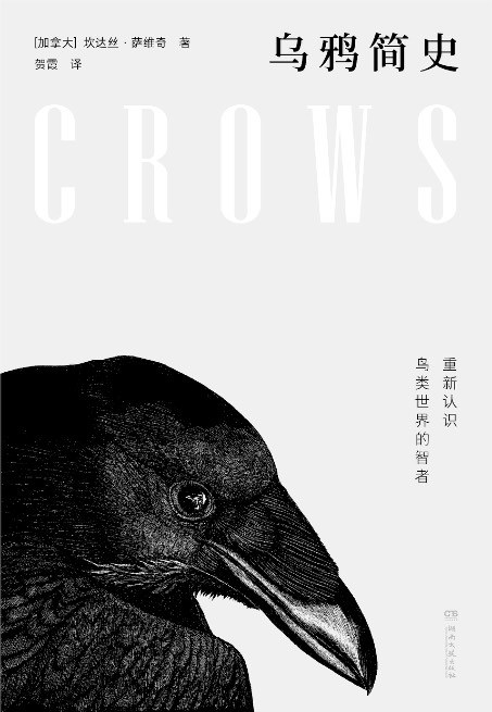 Crows