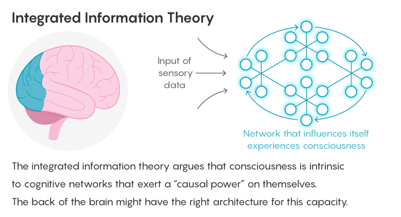 Diagram illustrating Integrated Information Theory: the posterior of a brain highlighted, arrows indicating sensory input flowing into a densely interconnected network on the right.