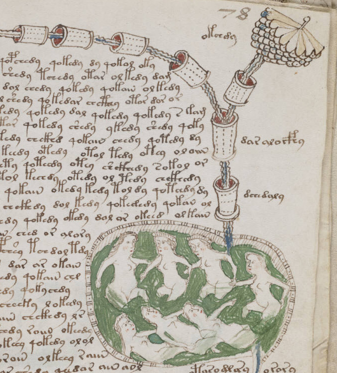 Detail from Voynich Manuscript f78r showing bathing figures, unreadable script, and linked vessels